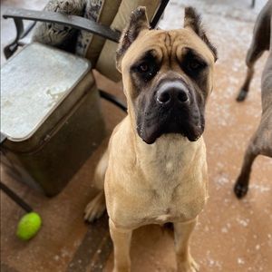 Meet your Posher, Seth